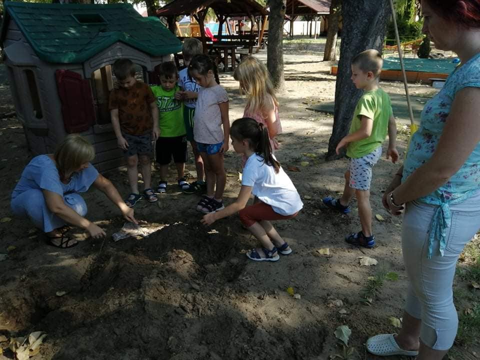 221886165 232003262259462 685054254142099038 n