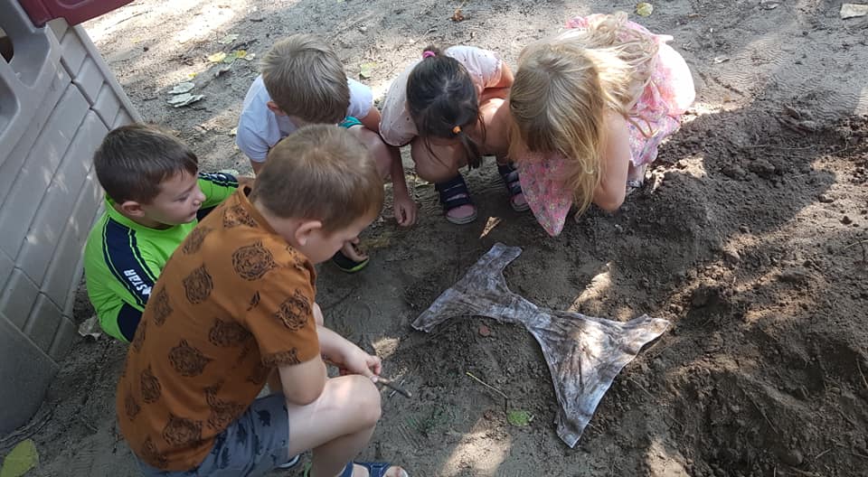 231116494 232003378926117 8616753403473973566 n