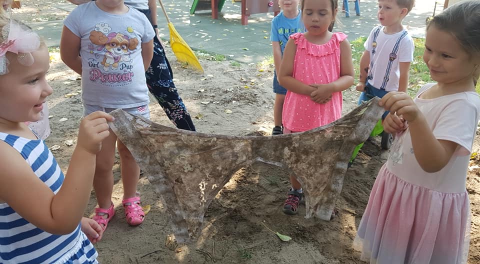 233618859 232003472259441 7923179490180932777 n