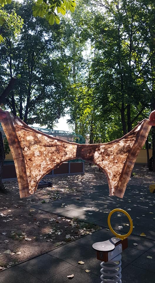 234238713 232003548926100 6387969384968837707 n