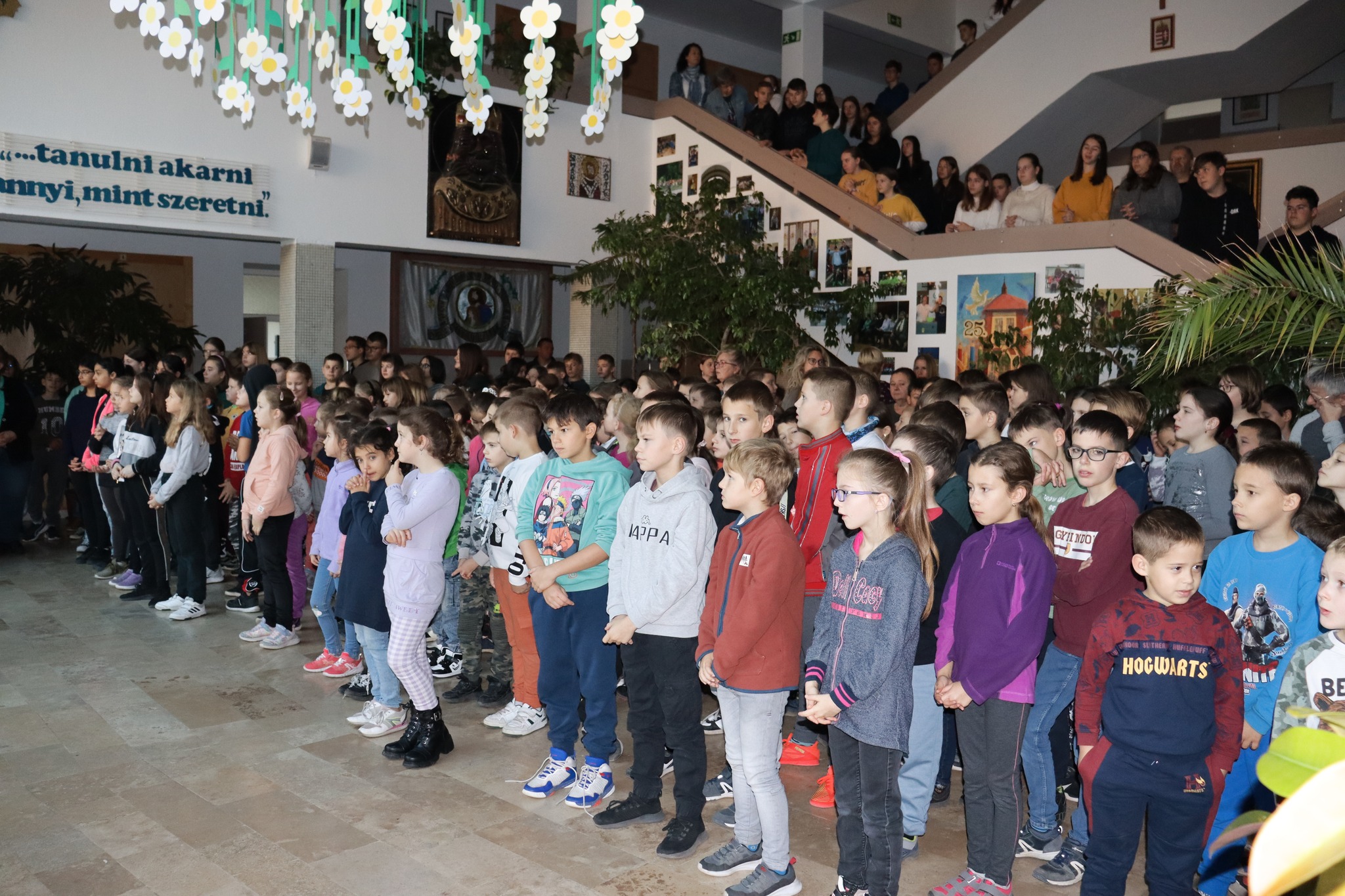 57038397 821317921557096 2151789365599141888 o