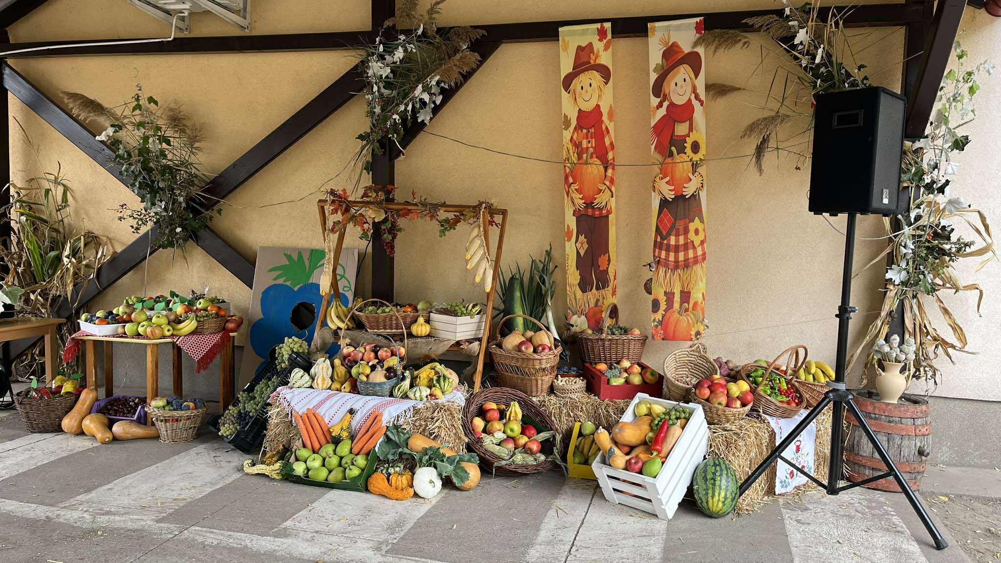 57038397 821317921557096 2151789365599141888 o