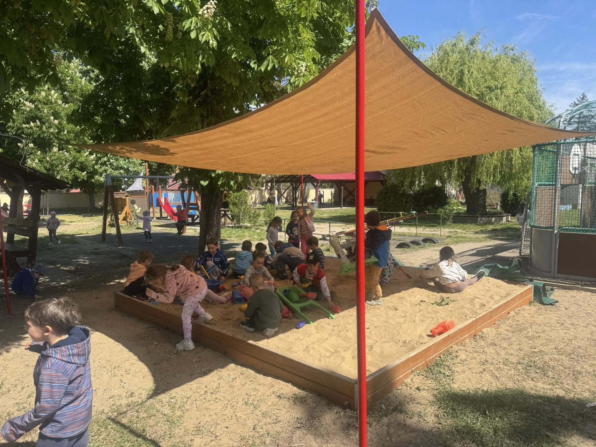 57038397 821317921557096 2151789365599141888 o