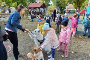 Állatvédelmi témahét az óvodában – kicsik, akik nagy szívvel gondolnak az állatokra