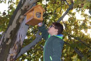 Kedvenceink védelmében – így telt az állatvédelmi témahét