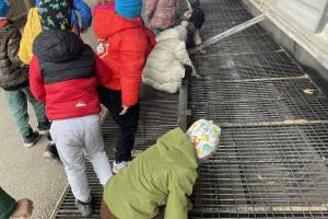 A búza útja – Nagycsoportosaink látogatása a Szatmári Malomban